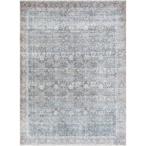 Lorelai Traditional Black Washable Area Rug - Vivir x Livabliss