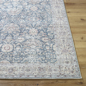 Mary Traditional Blue Area Rug - Vivir x Livabliss