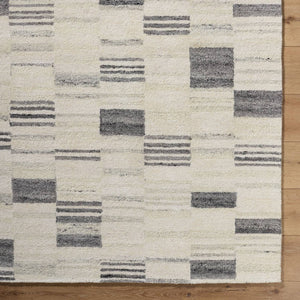 Max Modern Charcoal/Ivory Area Rug - Becki Owen x Livabliss