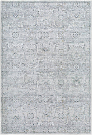 Deval Traditional Gray Area Rug