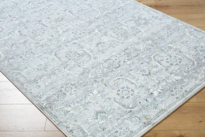 Deval Traditional Gray Area Rug