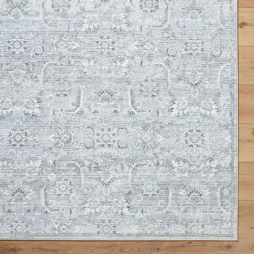Deval Traditional Gray Area Rug