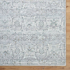 Deval Traditional Gray Area Rug