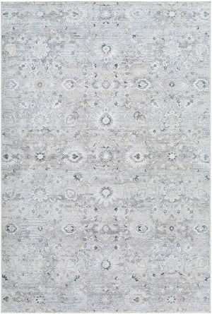 Analissa Traditional Light Gray Area Rug