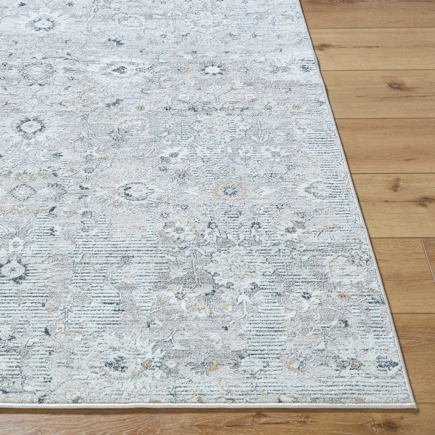 Analissa Traditional Light Gray Area Rug