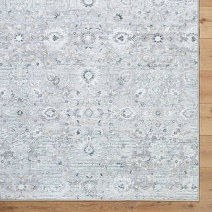 Analissa Traditional Light Gray Area Rug