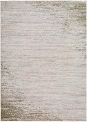 Salvador Traditional Oatmeal Area Rug