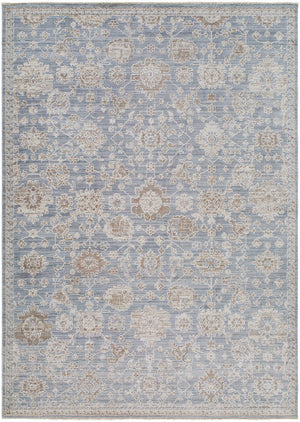 Joya Traditional Denim Area Rug