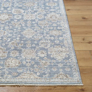 Joya Traditional Denim Area Rug