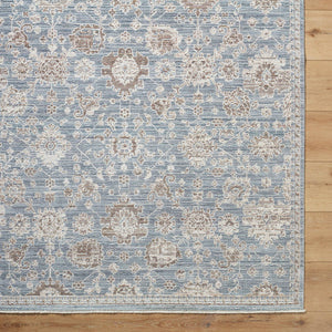 Joya Traditional Denim Area Rug