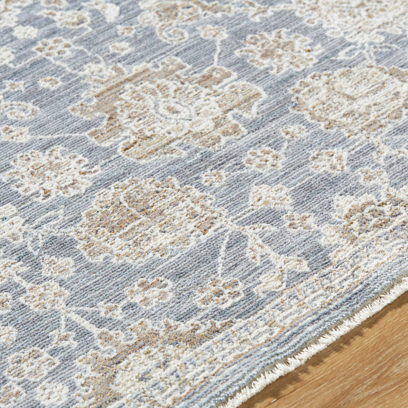 Joya Traditional Denim Area Rug