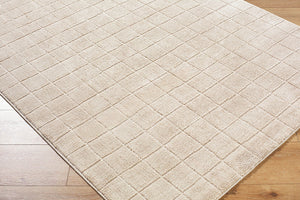 Cascade Global Light Beige/Light Brown Area Rug - Our PNW Home x Livabliss