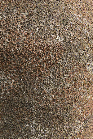 Abbie Rust Vase - Galey Alix x Livabliss