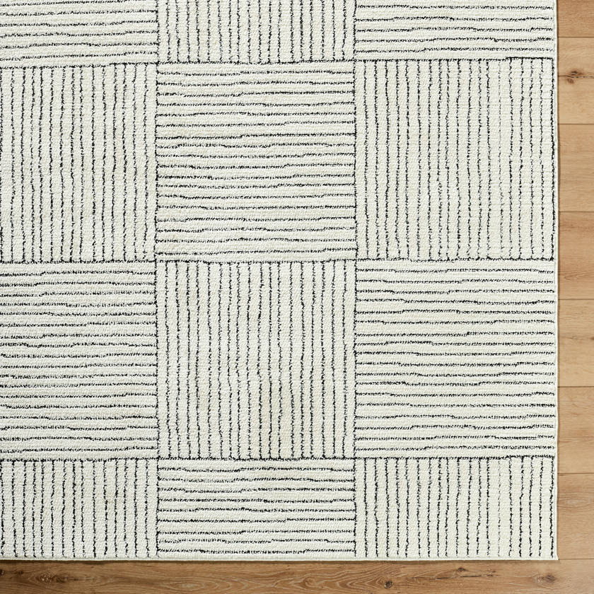 Architect Modern Ivory/Black Area Rug - Galey Alix Livabliss