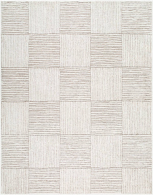 Architect Modern Ivory/Dark Brown Area Rug - Galey Alix Livabliss