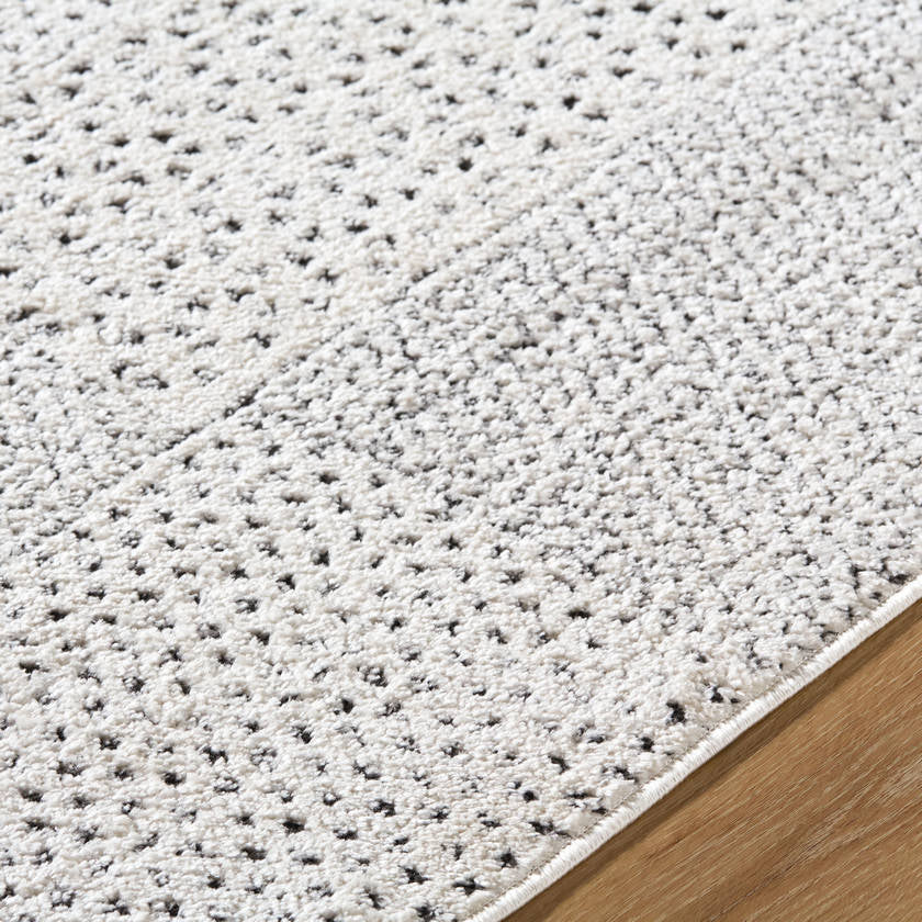 Architect Modern Ivory Area Rug - Galey Alix Livabliss