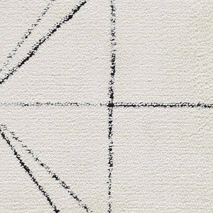Architect Modern Black/Ivory Area Rug - Galey Alix Livabliss
