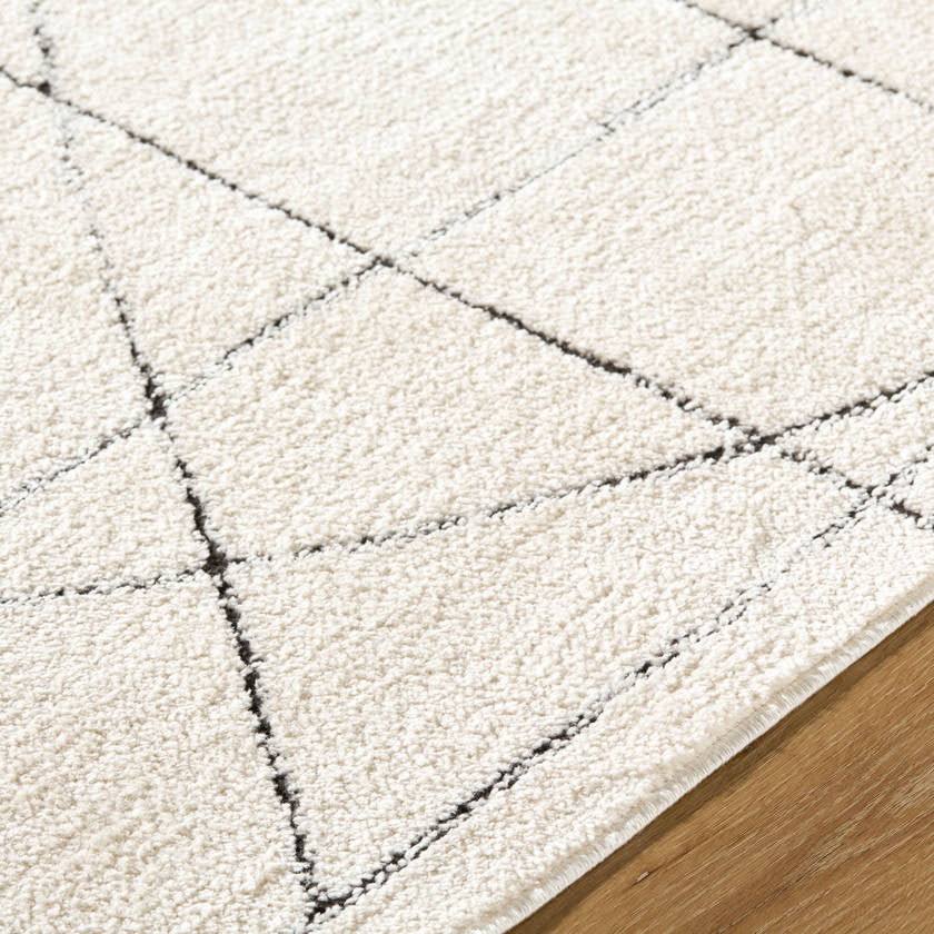 Architect Modern Black/Ivory Area Rug - Galey Alix Livabliss