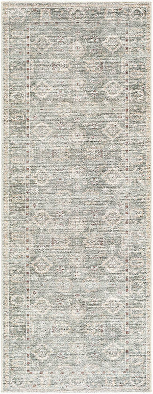 Collins Avenue Traditional Dusty Sage Area Rug - Galey Alix Livabliss