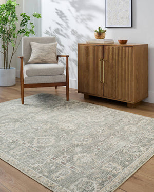 Collins Avenue Traditional Dusty Sage Area Rug - Galey Alix Livabliss