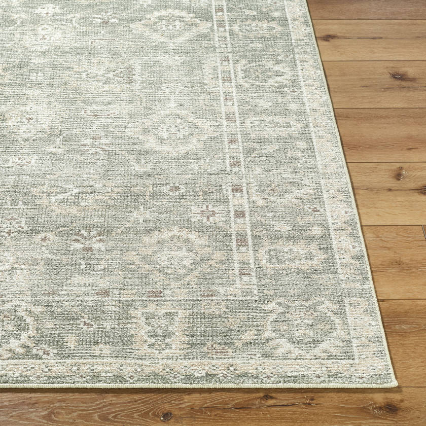 Collins Avenue Traditional Dusty Sage Area Rug - Galey Alix Livabliss