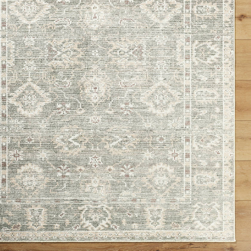 Collins Avenue Traditional Dusty Sage Area Rug - Galey Alix Livabliss