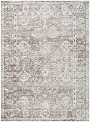 Collins Avenue Traditional Brown Area Rug - Galey Alix Livabliss