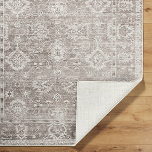 Collins Avenue Traditional Brown Area Rug - Galey Alix Livabliss