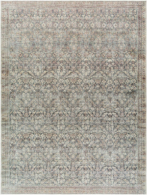 Collins Avenue Traditional Rust/Brown Area Rug - Galey Alix Livabliss