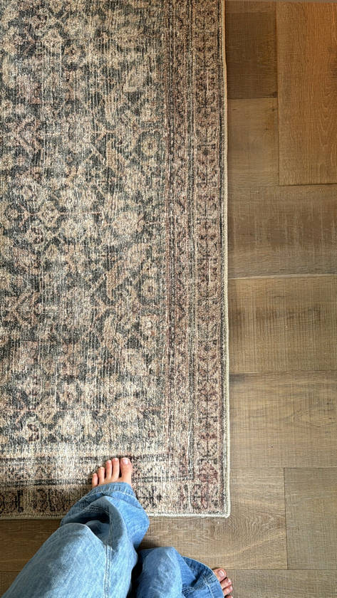 Collins Avenue Traditional Rust/Brown Area Rug - Galey Alix Livabliss