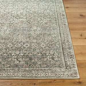 Collins Avenue Traditional Rust/Brown Area Rug - Galey Alix Livabliss