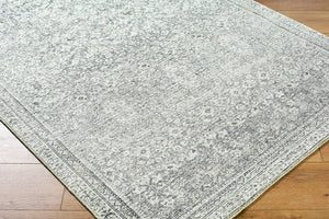 Collins Avenue Traditional Gray/Cream Area Rug - Galey Alix Livabliss