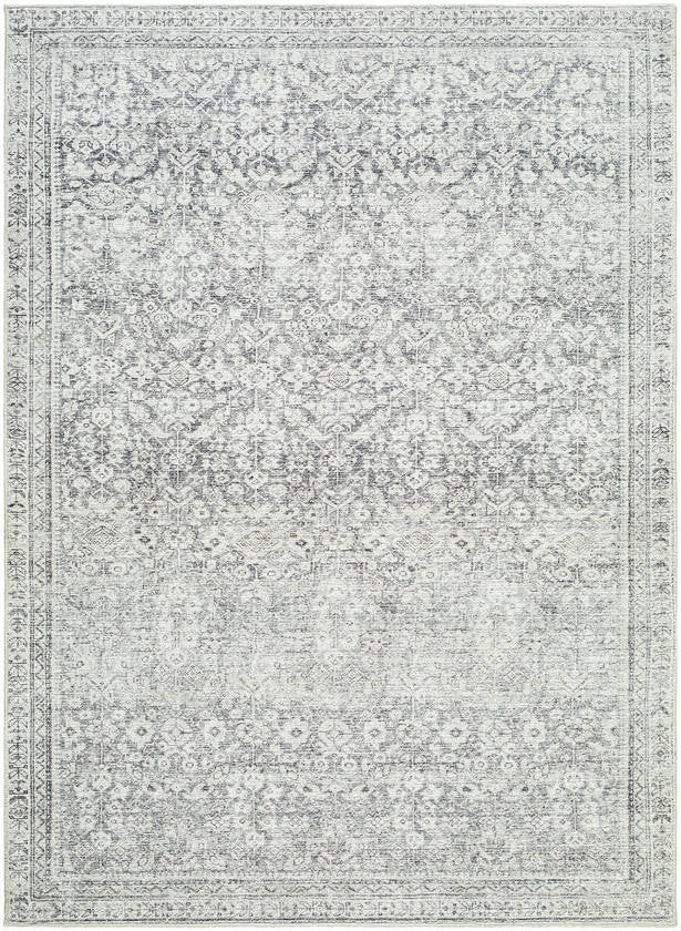 Collins Avenue Traditional Gray/Cream Area Rug - Galey Alix Livabliss