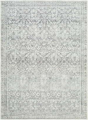 Collins Avenue Traditional Gray/Cream Area Rug - Galey Alix Livabliss