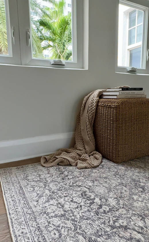 Collins Avenue Traditional Gray/Cream Area Rug - Galey Alix Livabliss