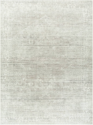 Collins Avenue Traditional Ivory/Slate Area Rug - Galey Alix Livabliss