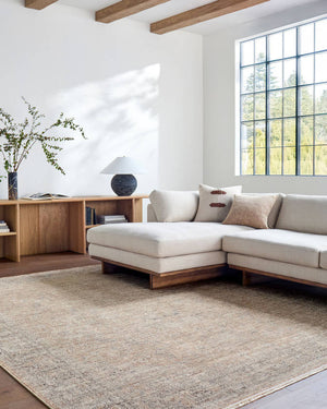 Maria Elena Traditional Brown Area Rug - Galey Alix Livabliss