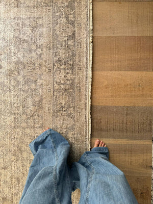 Maria Elena Traditional Ivory/Medium Brown Area Rug - Galey Alix Livabliss