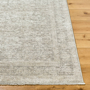 Maria Elena Traditional Ivory/Medium Brown Area Rug - Galey Alix Livabliss