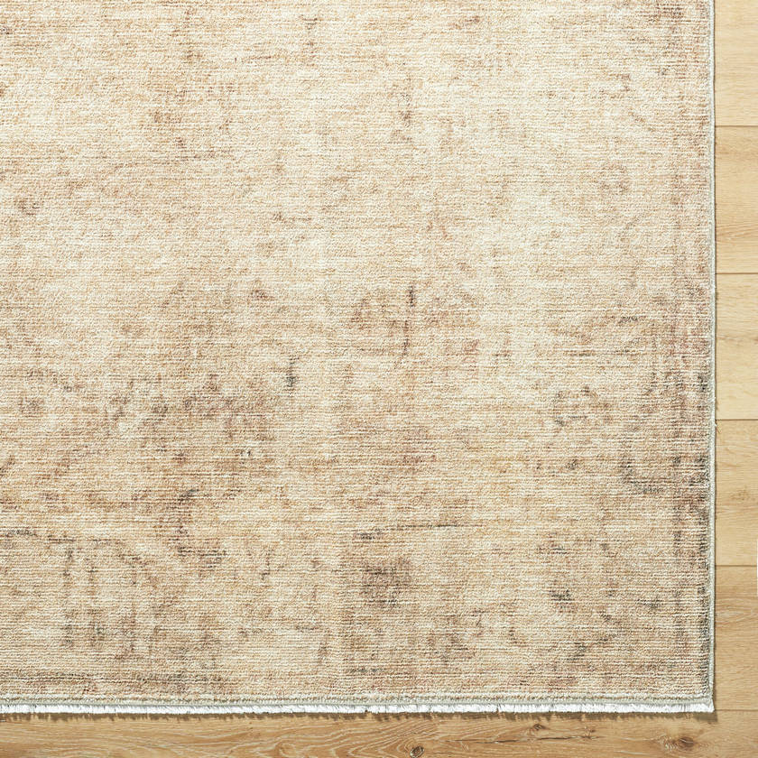 Fetscher Traditional Light Beige/Light Brown Area Rug - Galey Alix Livabliss
