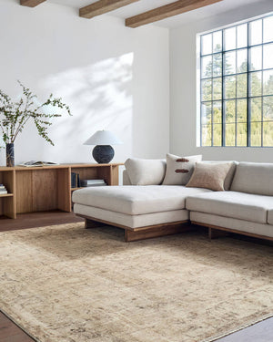 Fetscher Traditional Light Beige/Light Brown Area Rug - Galey Alix Livabliss