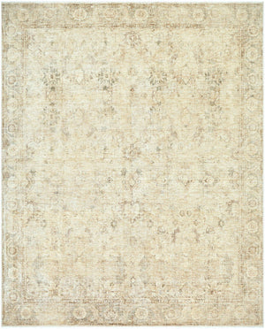 Fetscher Traditional Light Beige Area Rug - Galey Alix Livabliss