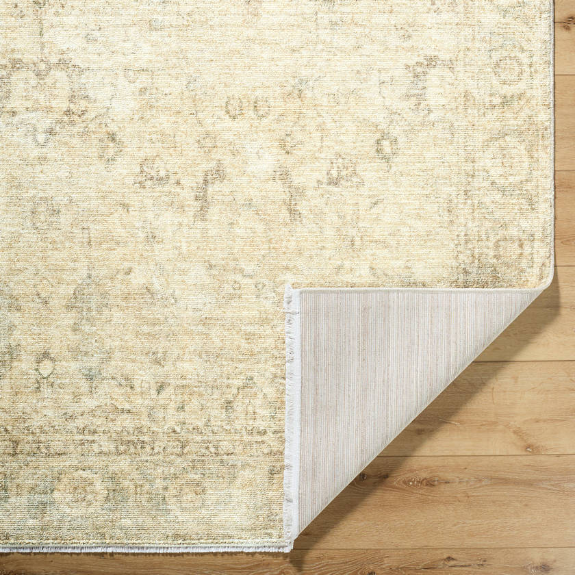 Fetscher Traditional Light Beige Area Rug - Galey Alix Livabliss