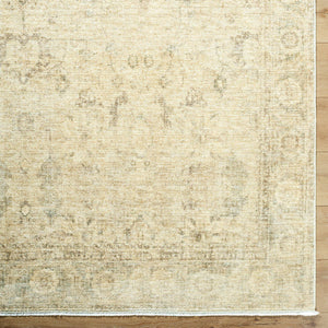 Fetscher Traditional Light Beige Area Rug - Galey Alix Livabliss