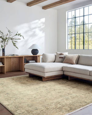 Fetscher Traditional Light Beige Area Rug - Galey Alix Livabliss