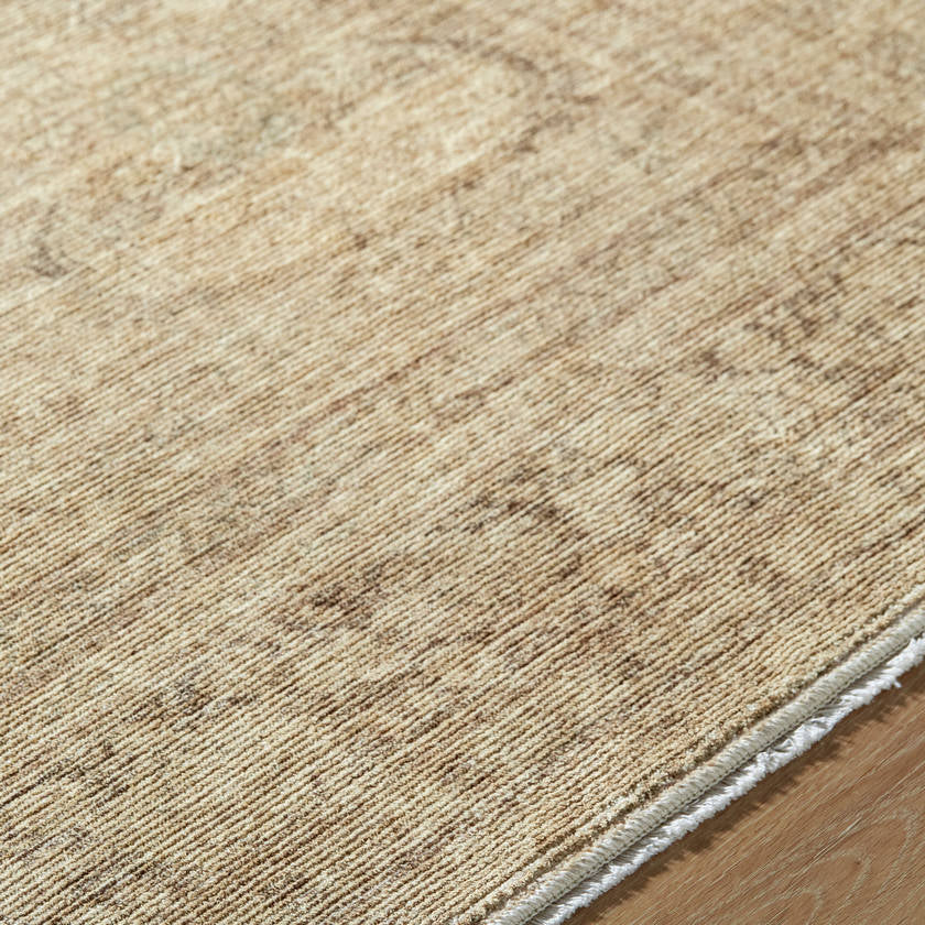 Fetscher Traditional Tan Area Rug - Galey Alix Livabliss