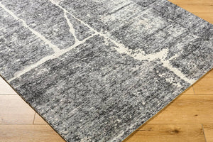 Janek Modern Ash Gray Area Rug - Galey Alix Livabliss
