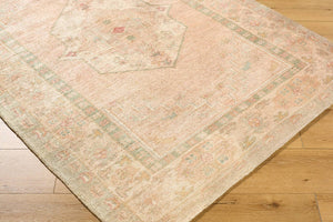 Luciana Traditional Sage/Blush Area Rug - Galey Alix Livabliss
