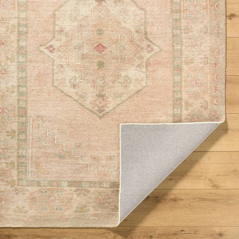 Luciana Traditional Sage/Blush Area Rug - Galey Alix Livabliss