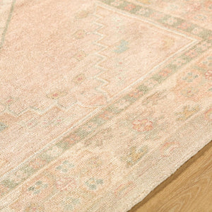 Luciana Traditional Sage/Blush Area Rug - Galey Alix Livabliss